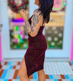 Merlot Velvet Stardust Dress