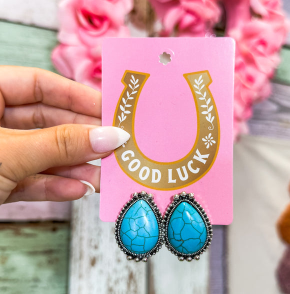 Outlaw Stone Earrings